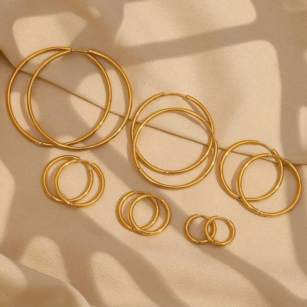 Double Hoop Earrings