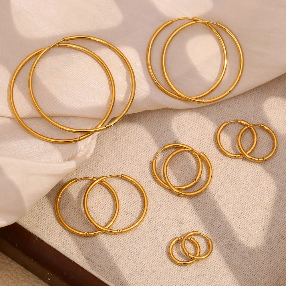 Double Hoop Earrings