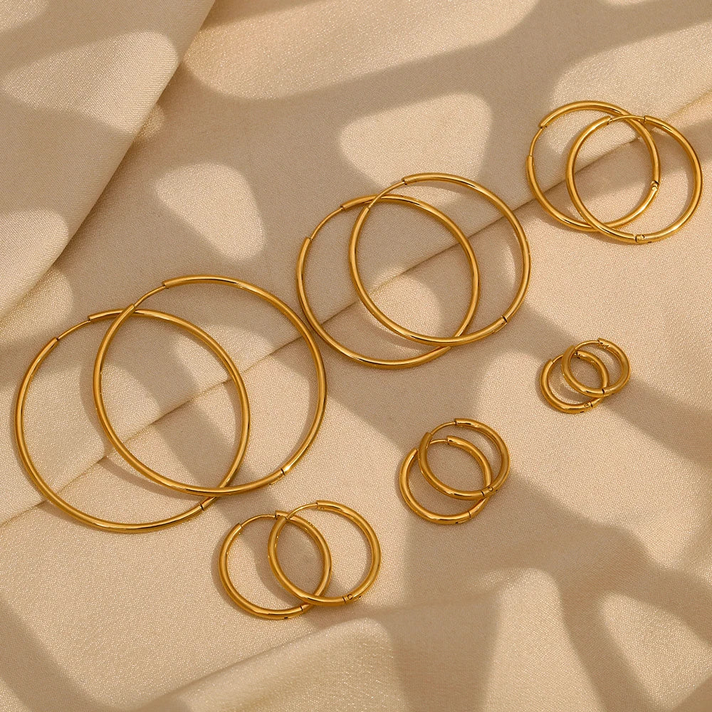 Double Hoop Earrings