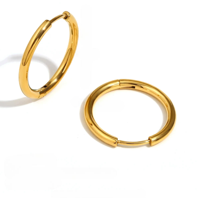 Double Hoop Earrings