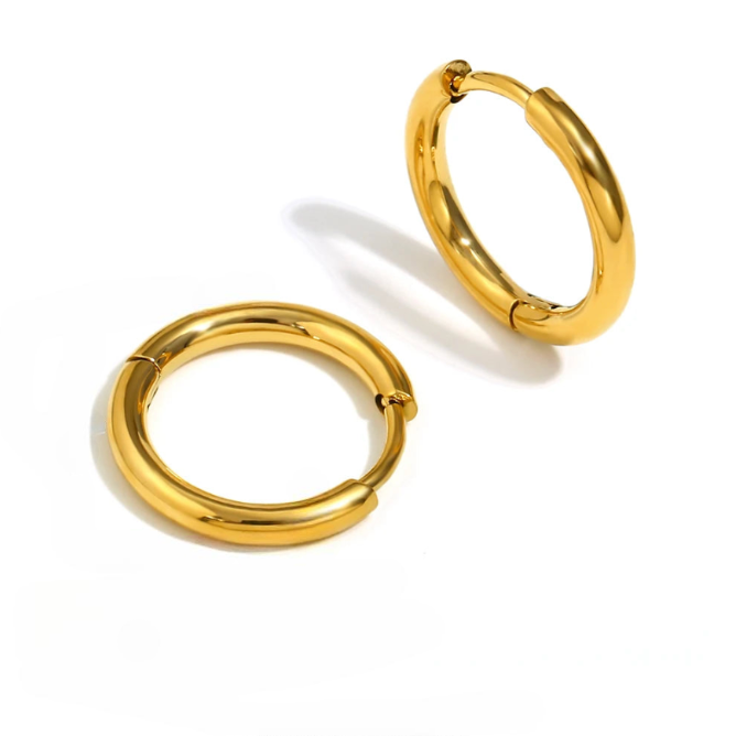 Double Hoop Earrings