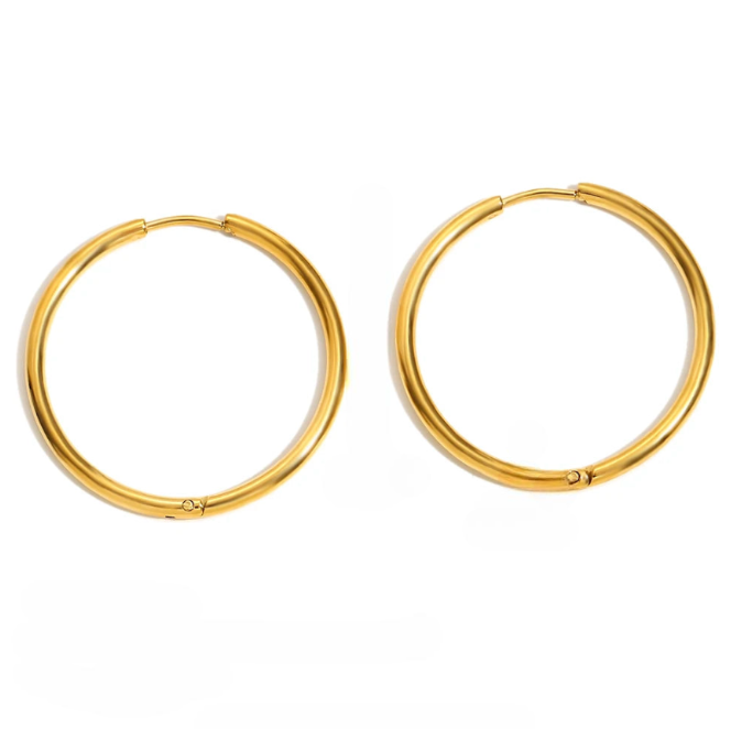 Double Hoop Earrings