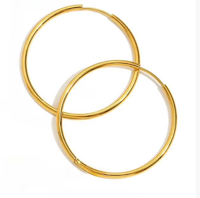 Double Hoop Earrings