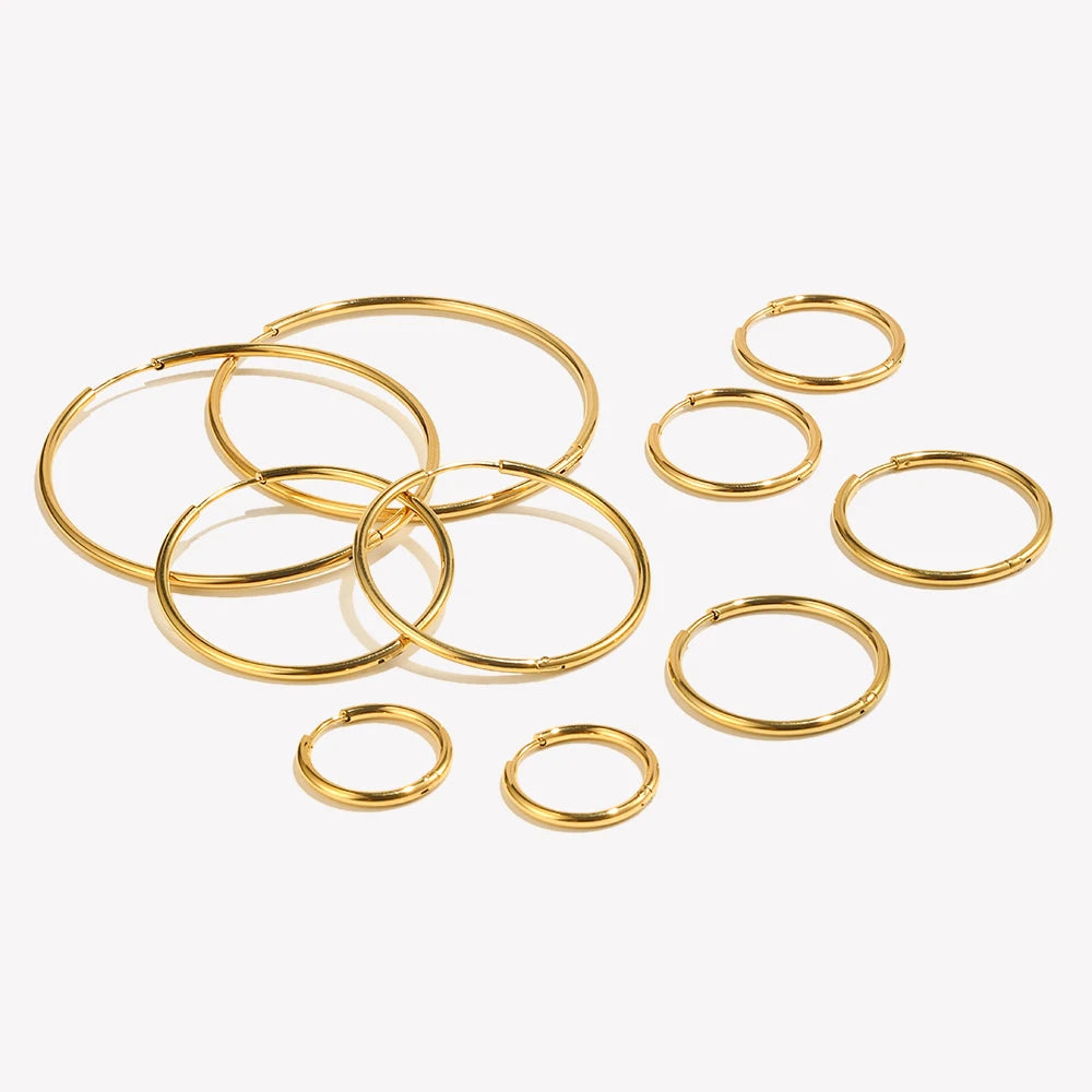 Double Hoop Earrings