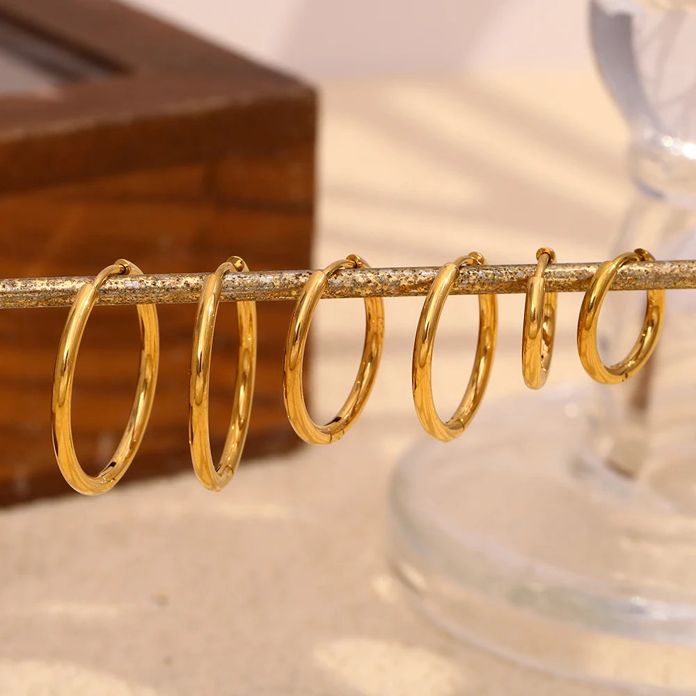 Double Hoop Earrings